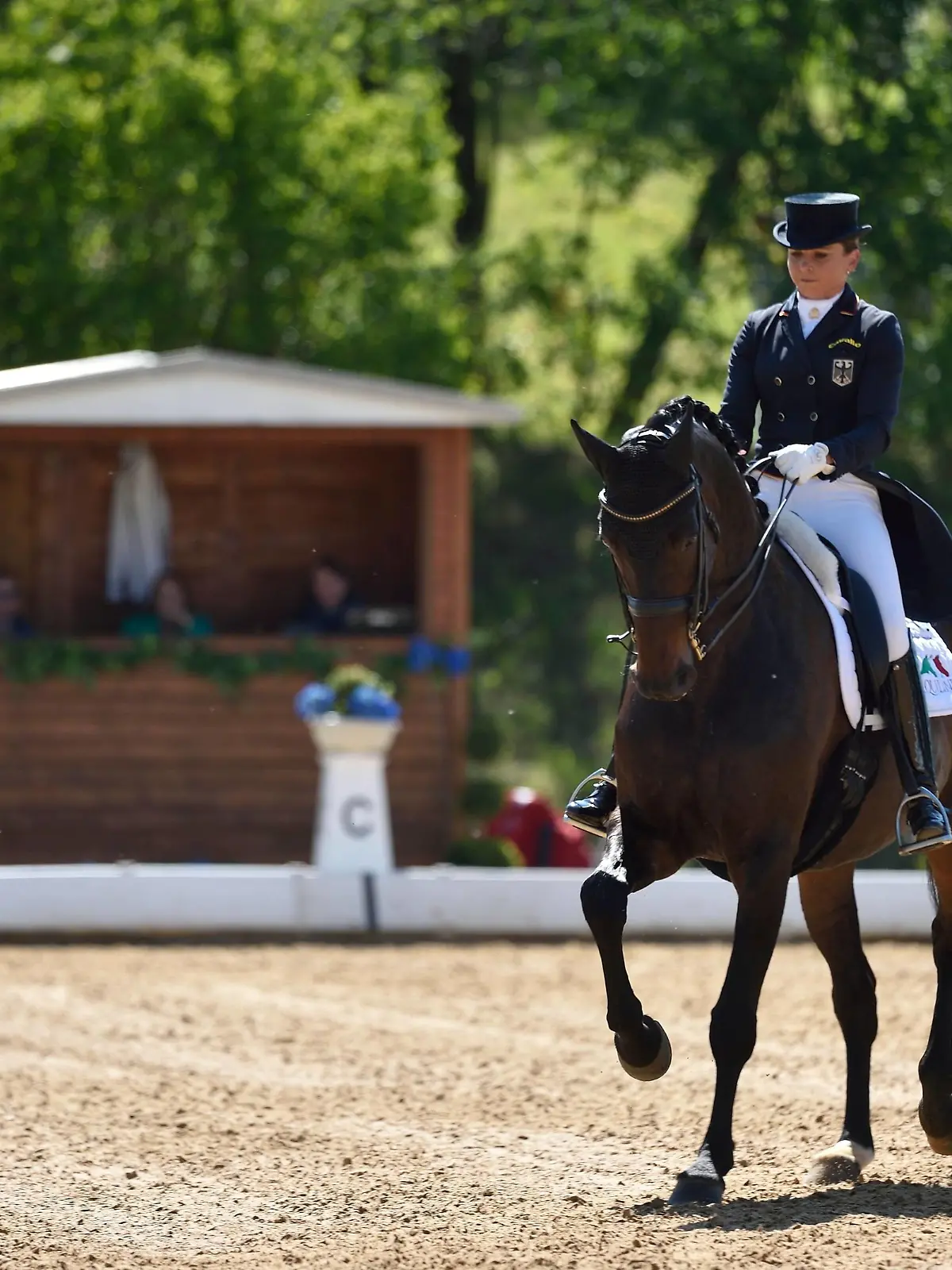 Dorothee Schneider, GER, auf Fohlenhofs Rock n Rose, Preis der Meggle-Gruppe. Dressurpruefung FEI Grand Prix Special CDI 3 Sterne, Pferd International Muenchen, 06.05.16

Dorothee Schneider ger on  Rock n Rose Prize the Meggle Group Dressurpruefung Fei Grand Prix Special CDI 3 Stars Horse International Munich 06 05 16  