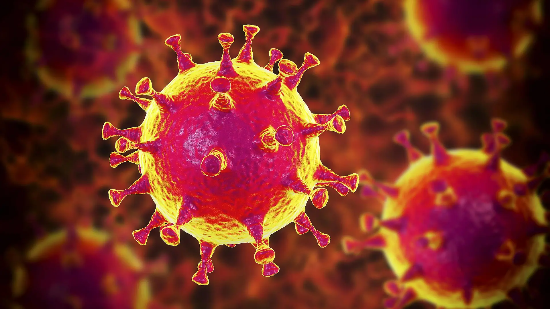 MERS coronavirus, illustration Middle East Respiratory Syndrome Coronavirus MERS-CoV particles virions, computer illustration. Formerly known as novel coronavirus, MERS was first identified in Saudi Arabia in 2012. Most people infected with MERS develop severe acute respiratory illness with symptoms of fever, cough, and shortness of breath. PUBLICATIONxINxGERxSUIxHUNxONLY KATERYNAxKON/SCIENCExPHOTOxLIBRARY F021/7379