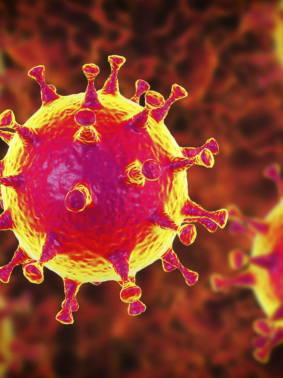  MERS coronavirus, illustration Middle East Respiratory Syndrome Coronavirus MERS-CoV particles virions, computer illustration. Formerly known as novel coronavirus, MERS was first identified in Saudi Arabia in 2012. Most people infected with MERS develop severe acute respiratory illness with symptoms of fever, cough, and shortness of breath. PUBLICATIONxINxGERxSUIxHUNxONLY KATERYNAxKON/SCIENCExPHOTOxLIBRARY F021/7379