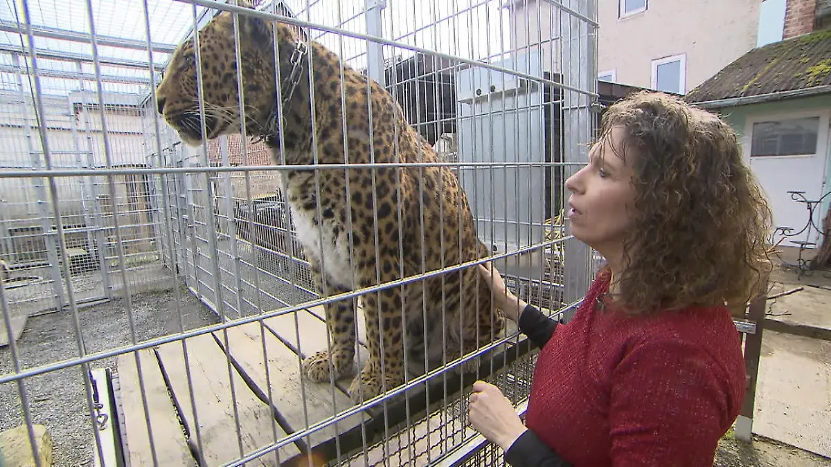 Tiertrainerin wird zur Altenpflegerin für Showtiere Seniorenresidenz für Tiere
