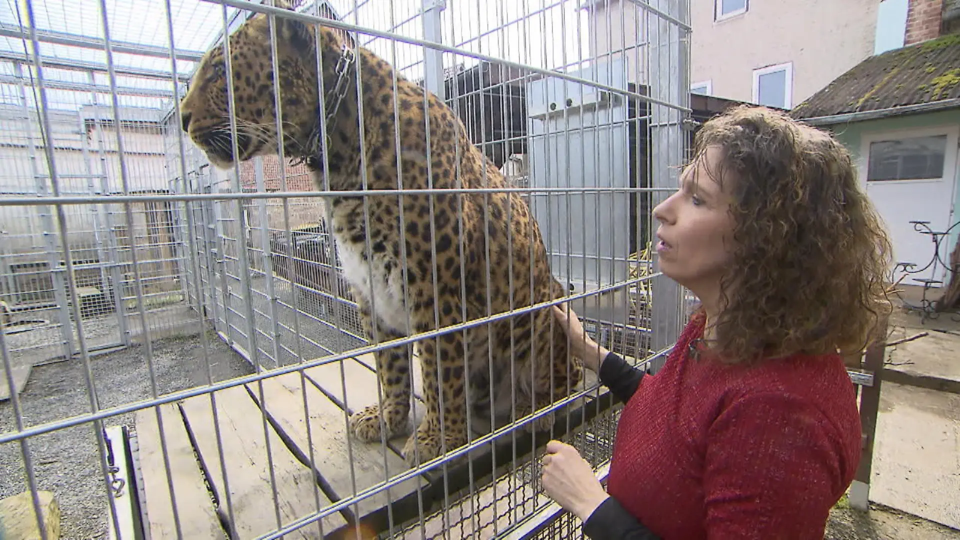 Tiertrainerin wird zur Altenpflegerin für Showtiere Seniorenresidenz für Tiere