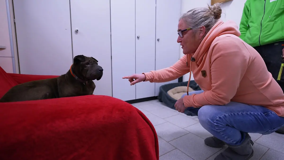 Die erste Begegnung ist Jessi noch nicht Geheuer Christina ist verliebt