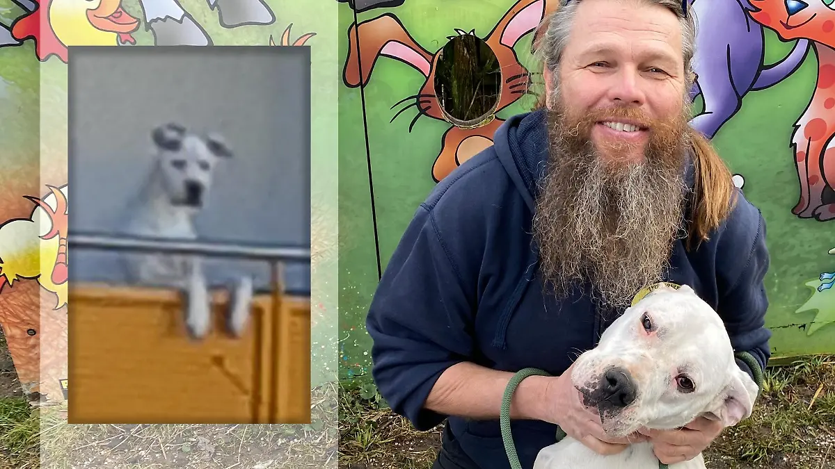 Hund Jimmy durchlebte schwere Zeiten, jetzt hat er aber sein Glück gefunden.