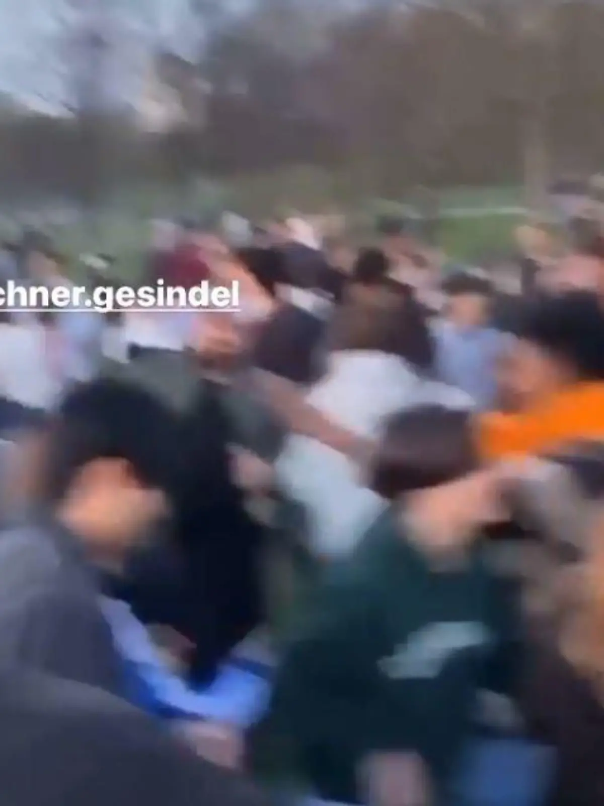 Party im Englischen Garten in München