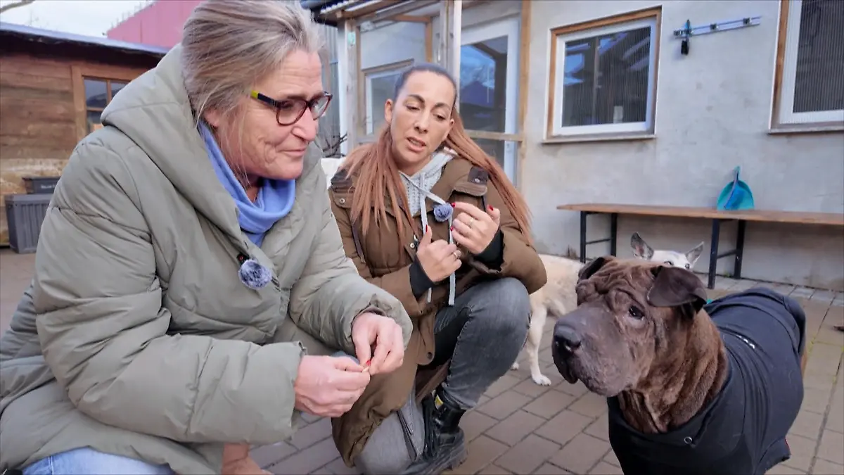 Jessi braucht Zeit um Vertrauen aufzubauen Ellen unterstützt Christina