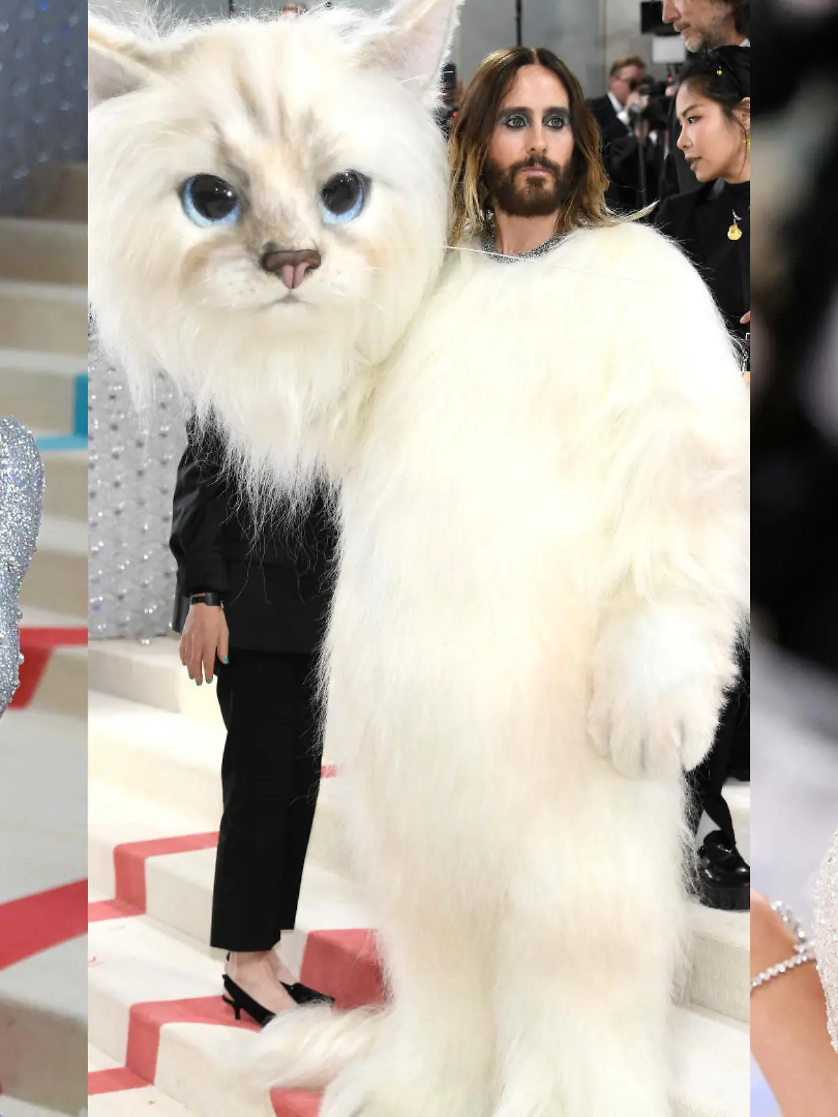 Karl Lagerfelds Katze Choupette war doch da – nur anders als erwartet