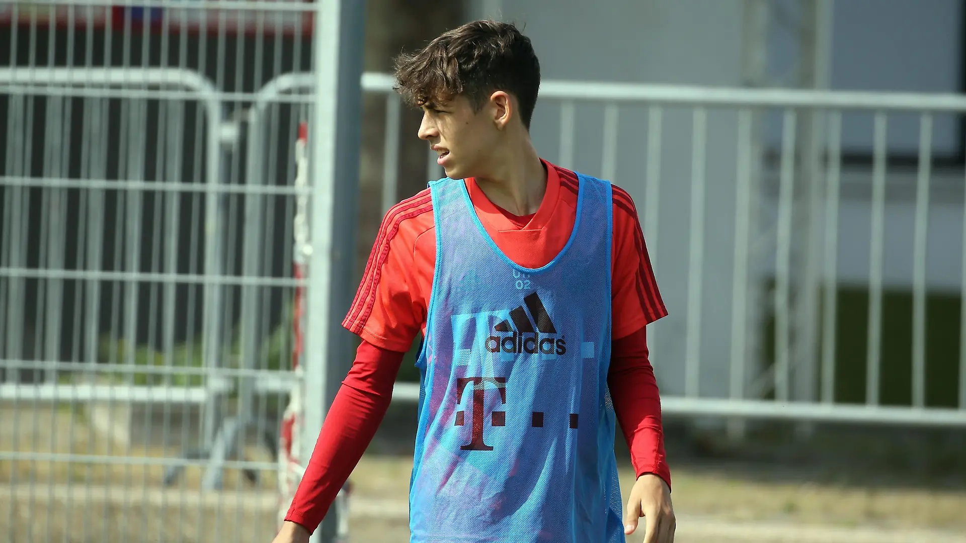 Nick Salihamidzic