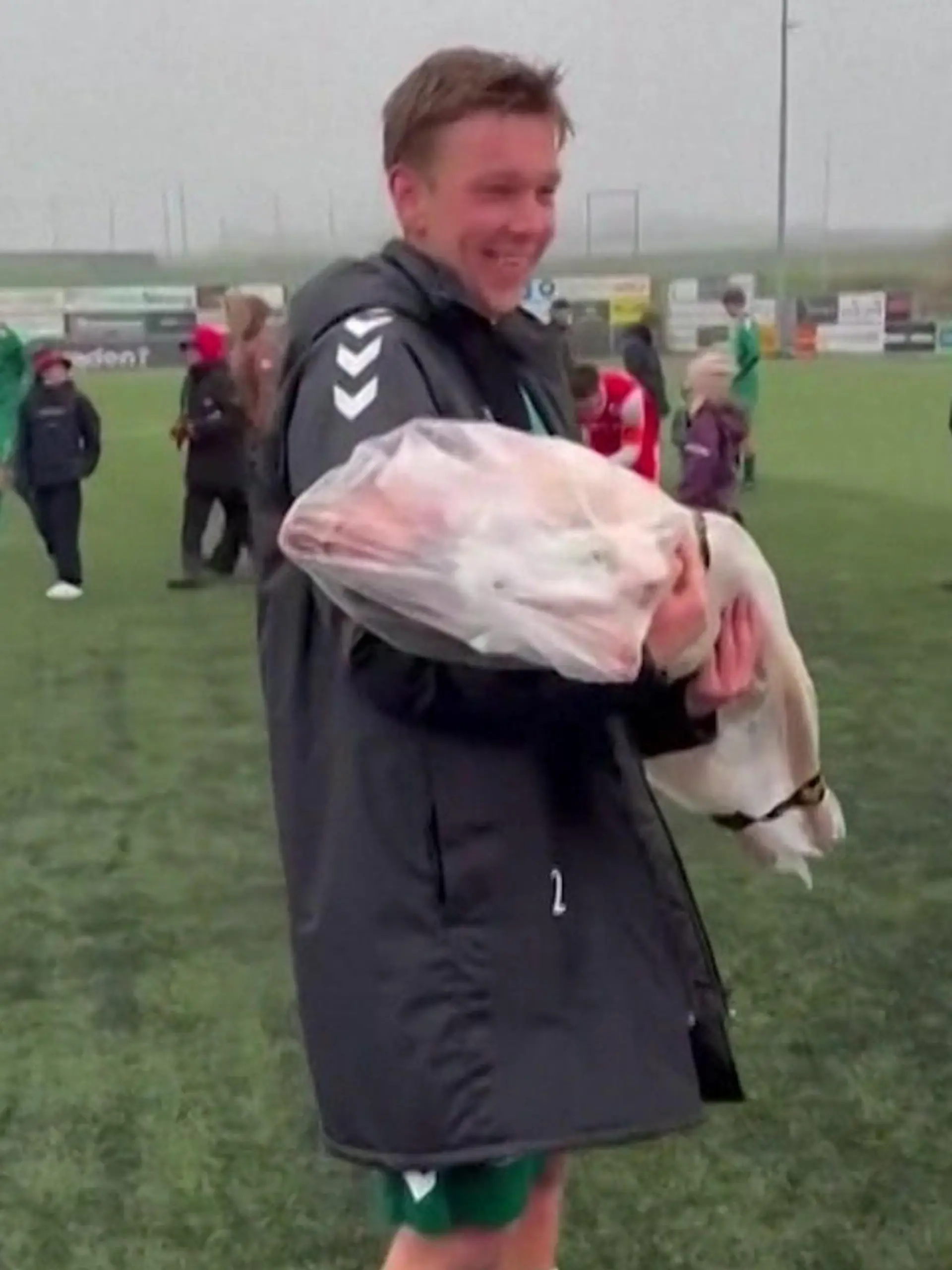 Bild zu: "Fußballer kriegt totes Schwein als Trophäe"