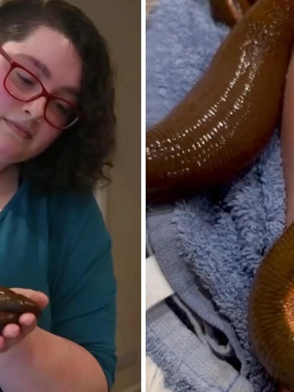 Marie Bailey ist eigentlich eine normale 23-Jährige aus Großbritannien – nur hat sie 35 Haustiere, die so gar nicht der Norm entsprechen. Sie ist stolze Besitzerin von Blutegeln, die bei ihr Zuhause leben. Angefangen hat es damals mit nur zwei Exemplaren, die sich schnell vermehrten.
