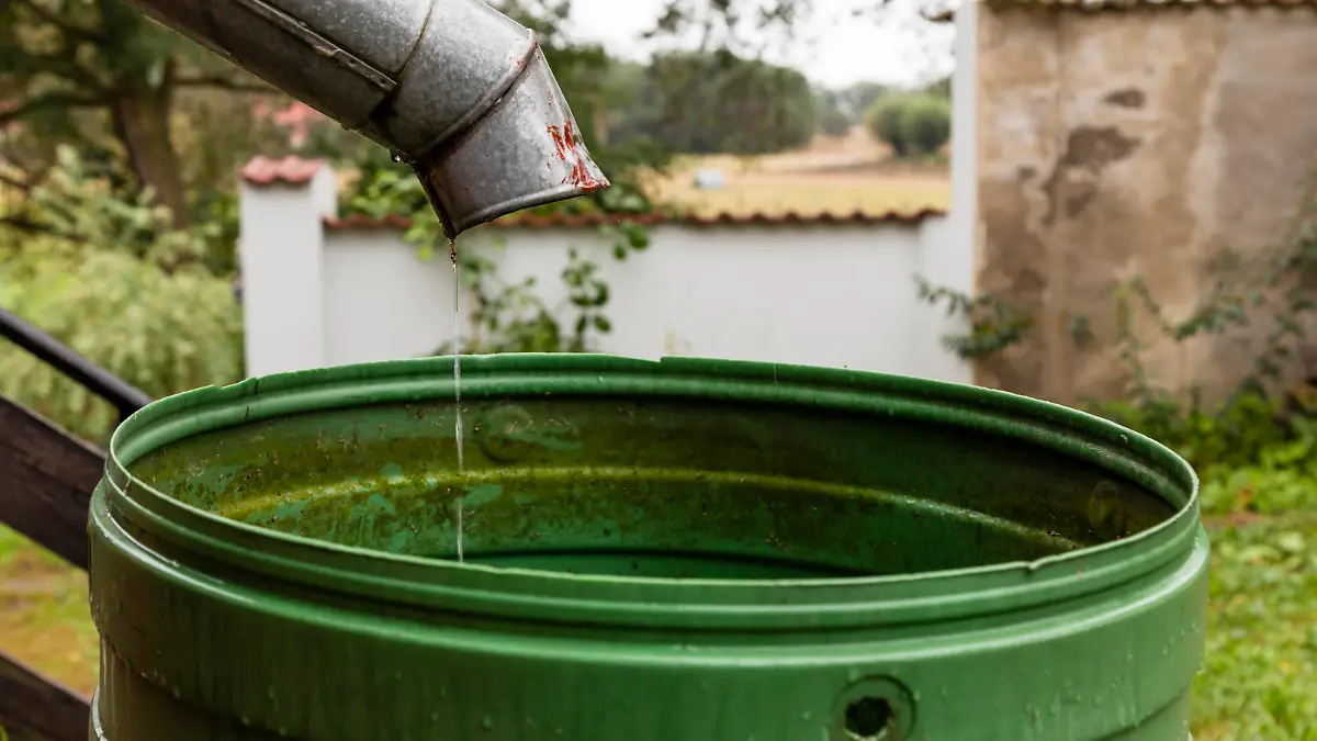 regenwasser regentonne Bildverwendung nur mit Urhebervermerk: Cornelia Pithart/Shotshop/picture alliance. Keine Exlusivverkäufe möglich.