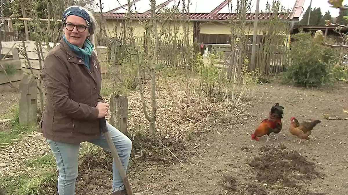 Frauchen Karin Pfeifer-Rockenfeller muss wegen ihres Hahns "Meister Eder" vor Gericht.