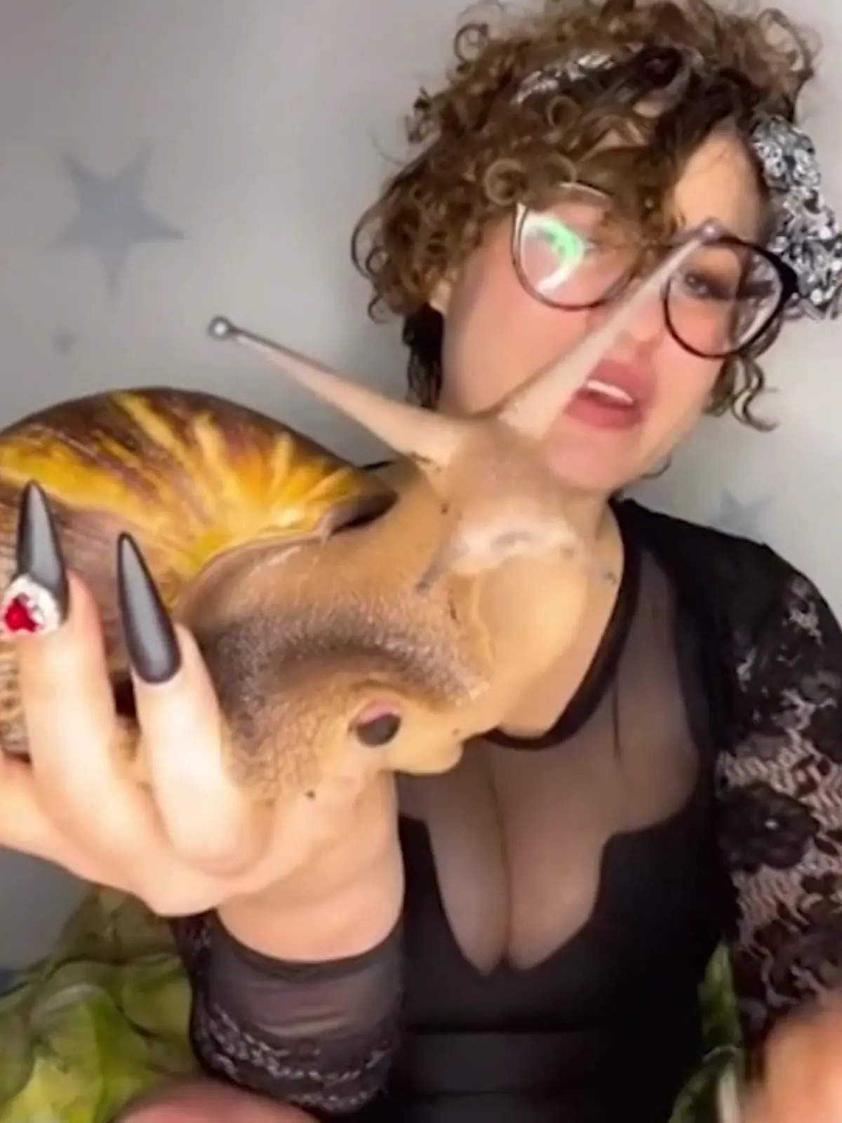 Im heimischen Garten sind sie meistens eine Plage – im Internet werden sie gemeinsam mit ihrem Frauchen zum Star! Kris Buckley aus München ist Deutschlands erste Schneckfluencerin – und präsentiert ihre Tierchen auf Social Media.
