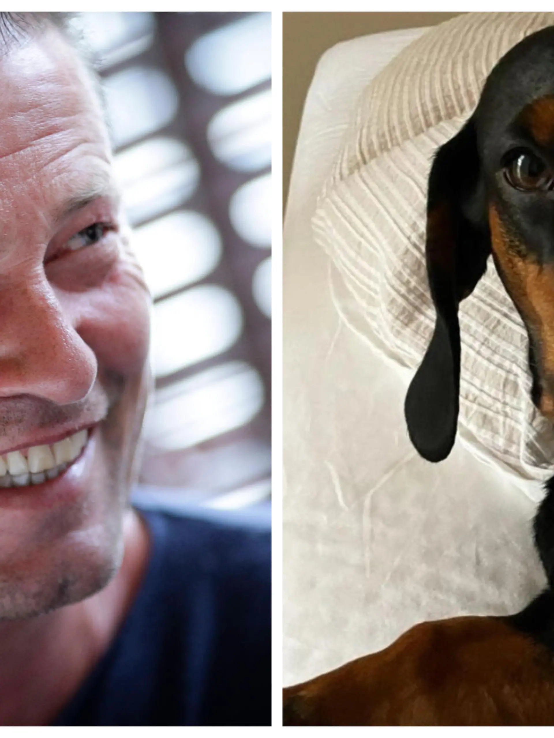 Til Schweiger und Dackel-Dame Banksy