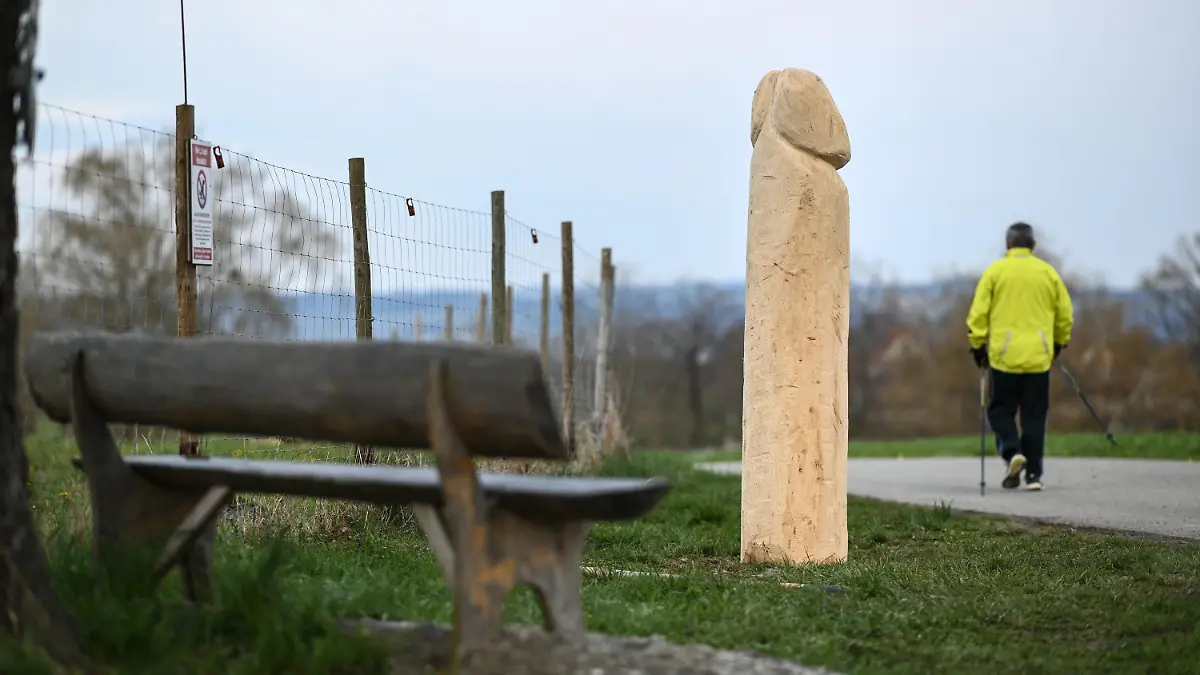 13.04.2021, Baden-Württemberg, Ravensburg: Ein hölzerner Penis steht am Rand eines Aussichtspunktes auf einer Anhöhe bei Ravensburg-Taldorf. Welcher Künstler das Phallussymbol erschaffen hat, ist nicht bekannt. Seit einigen Tagen trohnt der rund zwei Meter hohe Penis auf der Anhöhe. Foto: Felix Kästle/dpa - ACHTUNG: Nur zur redaktionellen Verwendung im Zusammenhang mit der aktuellen Berichterstattung +++ dpa-Bildfunk +++