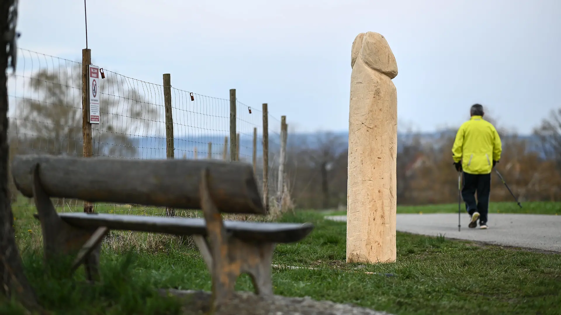13.04.2021, Baden-Württemberg, Ravensburg: Ein hölzerner Penis steht am Rand eines Aussichtspunktes auf einer Anhöhe bei Ravensburg-Taldorf. Welcher Künstler das Phallussymbol erschaffen hat, ist nicht bekannt. Seit einigen Tagen trohnt der rund zwei Meter hohe Penis auf der Anhöhe. Foto: Felix Kästle/dpa - ACHTUNG: Nur zur redaktionellen Verwendung im Zusammenhang mit der aktuellen Berichterstattung +++ dpa-Bildfunk +++