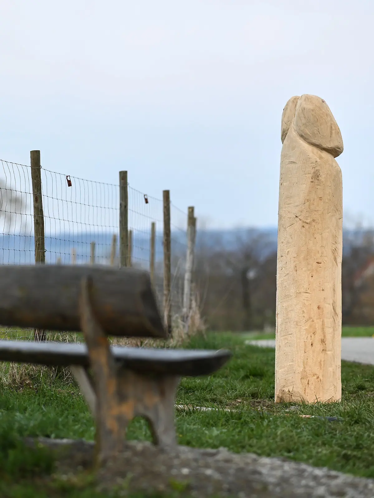 13.04.2021, Baden-Württemberg, Ravensburg: Ein hölzerner Penis steht am Rand eines Aussichtspunktes auf einer Anhöhe bei Ravensburg-Taldorf. Welcher Künstler das Phallussymbol erschaffen hat, ist nicht bekannt. Seit einigen Tagen trohnt der rund zwei Meter hohe Penis auf der Anhöhe. Foto: Felix Kästle/dpa - ACHTUNG: Nur zur redaktionellen Verwendung im Zusammenhang mit der aktuellen Berichterstattung +++ dpa-Bildfunk +++