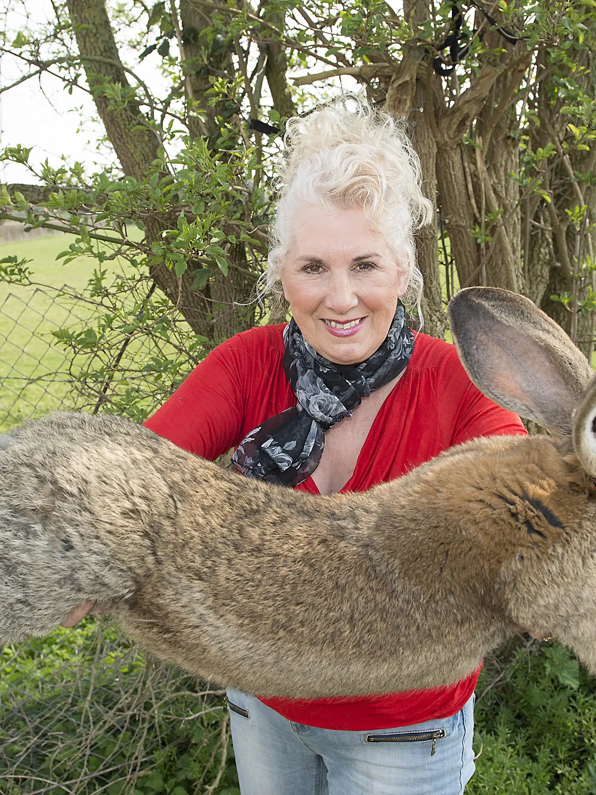 Annette Edwards From Stoulton Worcestershire Who Has A Champion Giant Rabbit Darius And His Son Jeff Who Is Catching Up Fast.