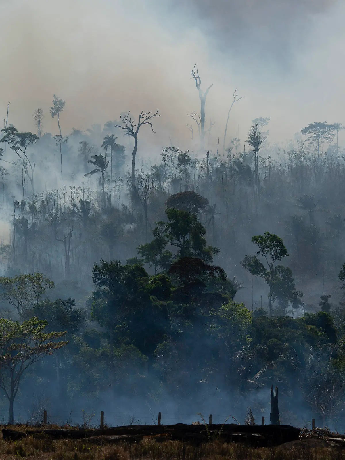 27.08.2019, Brasilien, Altamira: Rauch steigt aus dem Regenwald im Amazonas bei einem Brand. In Brasilien wüten die schwersten Waldbrände seit Jahren. Seit Januar stieg die Zahl der Feuer und Brandrodungen im größten Land Südamerikas im Vergleich zum Vorjahreszeitraum nach den jüngsten Angaben der brasilianischen Weltraumagentur INPE um 78 Prozent auf mehr als 80 000 Brände. Betroffen waren meist Flächen in Privatbesitz, aber auch in Naturschutzgebieten und Ländereien der indigenen Bevölkerung brechen immer wieder Feuer aus. Foto: Leo Correa/AP/dpa +++ dpa-Bildfunk +++