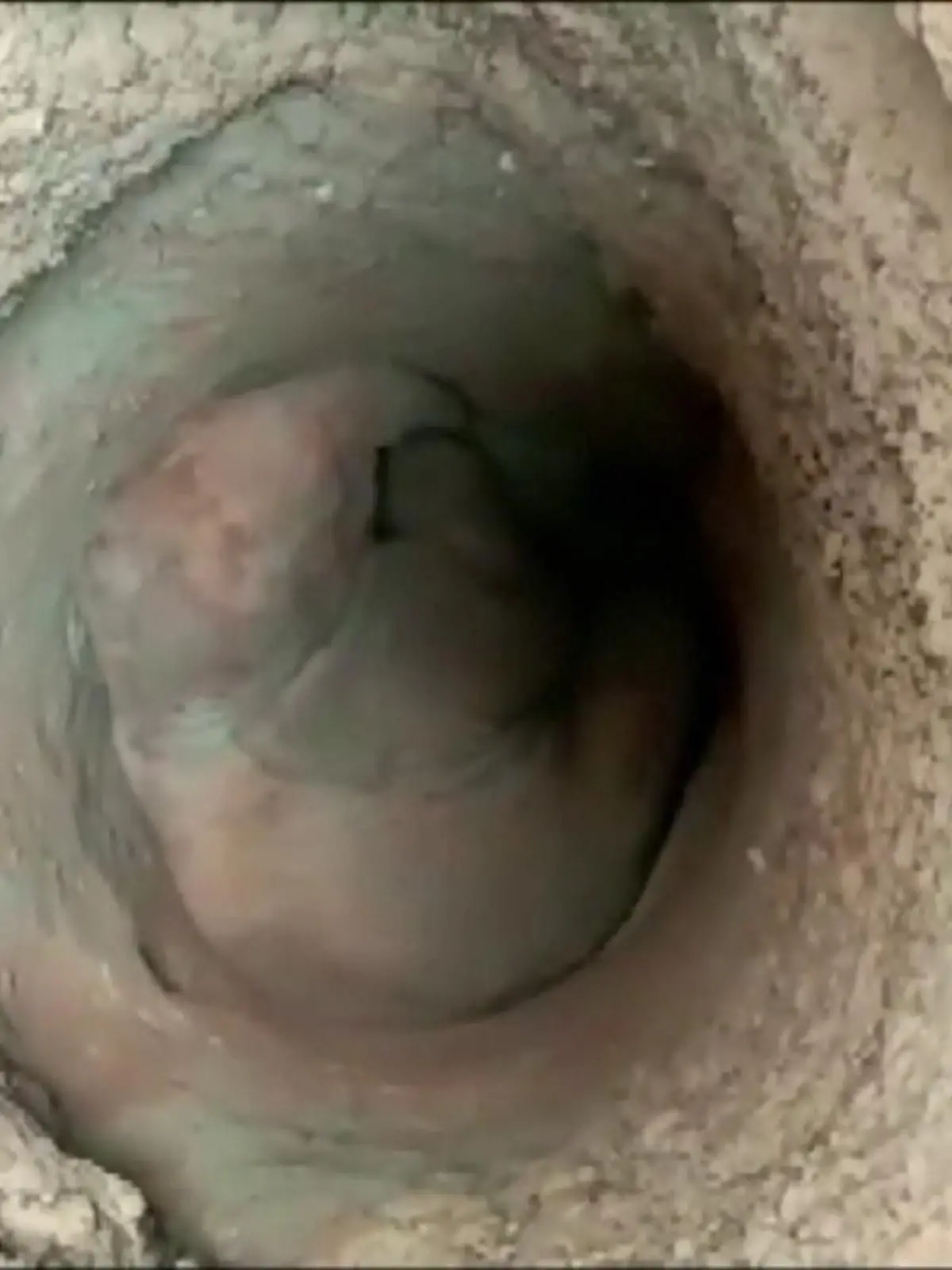 Ohne menschliche Hilfe hätte es für einen Elefanten in Indien keine Hoffnung gegeben. Das Jungtier war in einen Brunnen gestürzt und hatte keine Chance, wieder rauszukommen. Doch Behördenmitarbeiter und die Feuerwehr retteten das Elefantenkalb mit schwerem Gerät aus dem Schacht.