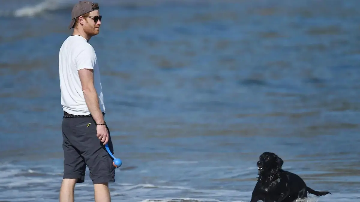 Prinz Harry spielt mit seinem Hund Pula am Strand von Kalifornien.