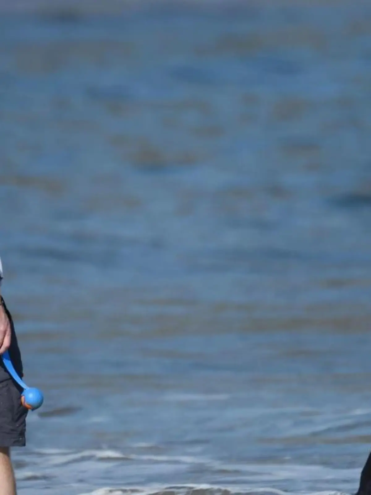 Prinz Harry spielt mit seinem Hund Pula am Strand von Kalifornien.