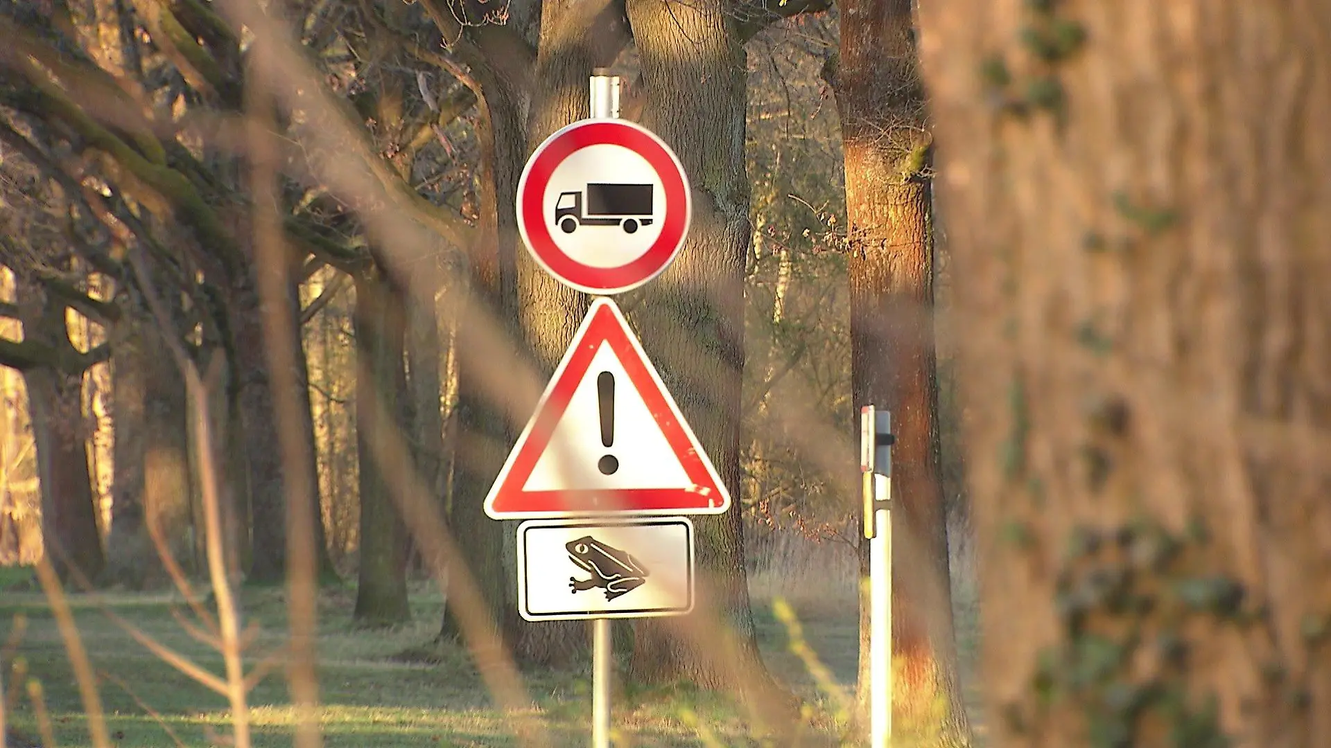 Hinweisschilder bei einem Waldstück in Peine rufen Autofahrer zur Achtsamkeit auf