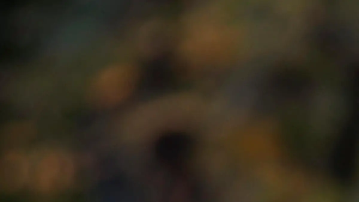 U.S. President Donald Trump reacts as he arrives at the White House from Indianapolis, in Washington D.C., U.S. September 27, 2017. REUTERS/Carlos Barria