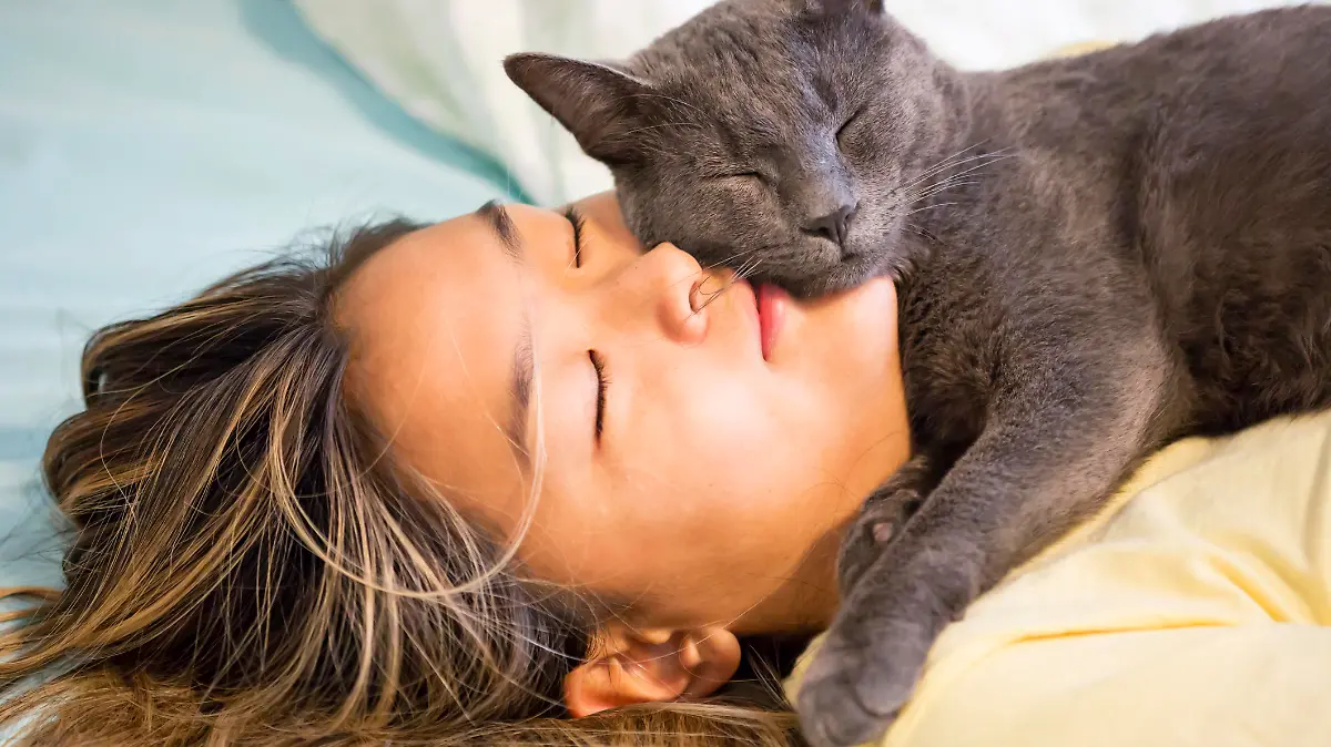 Frau schläft mit ihrer Katze auf dem Gesicht.