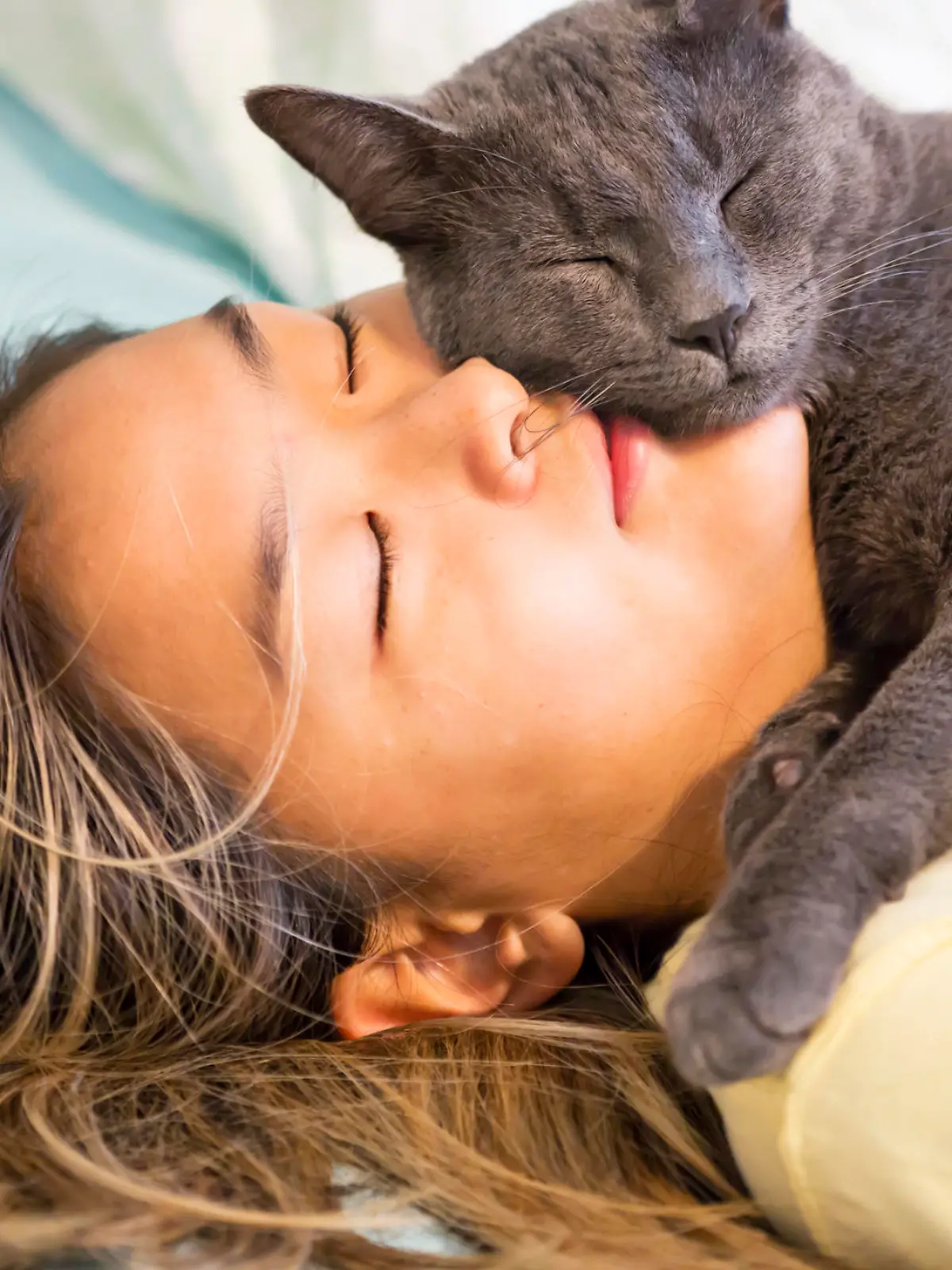 Frau schläft mit ihrer Katze auf dem Gesicht.