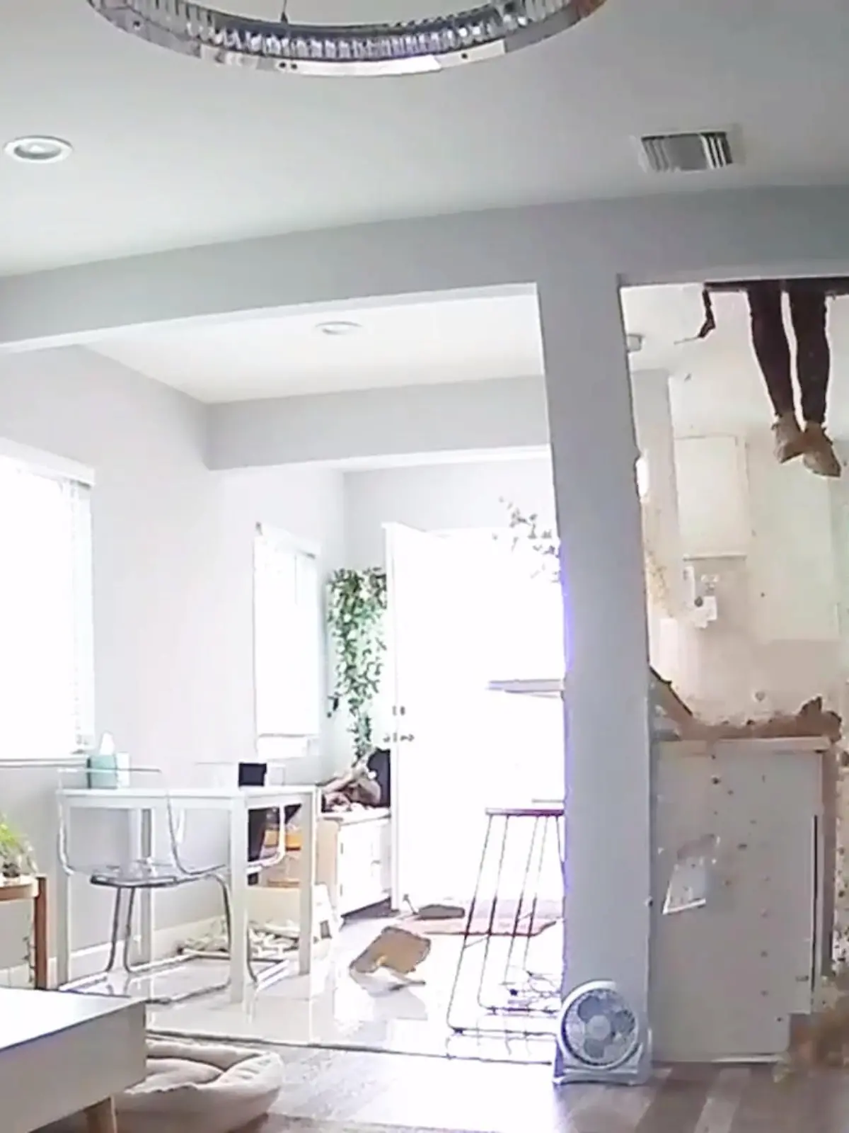 Ein Handwerker inspiziert gerade einen Dachboden - als er abrutscht und mit vollem Körpergewicht ein Stockwerk tiefer kracht. Dieses Unglück ist einer Hausbesitzerin in Los Angeles (USA) passiert. Sie hat die Handwerker engagiert um einen Wasserschaden kontrollieren zu lassen. Doch dass die Handwerker noch mehr Schaden anrichten, ist wohl eine unerwartete Wendung gewesen. Dem Handwerker ist zum Glück nichts passiert - nur der Schreck, der war vermutlich groß!