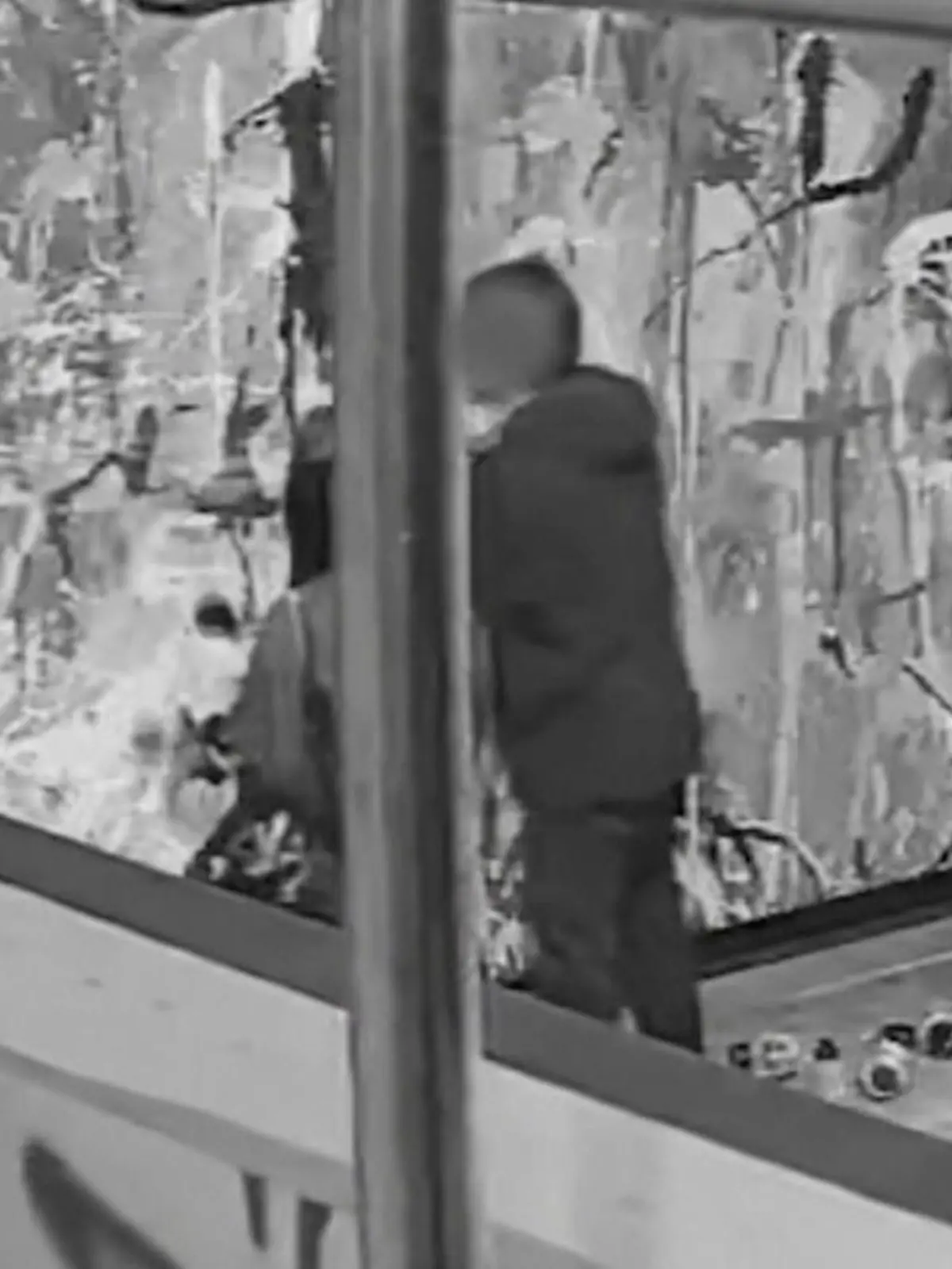 Bild zu: "Paar übermalt 400.000-Euro-Graffiti"