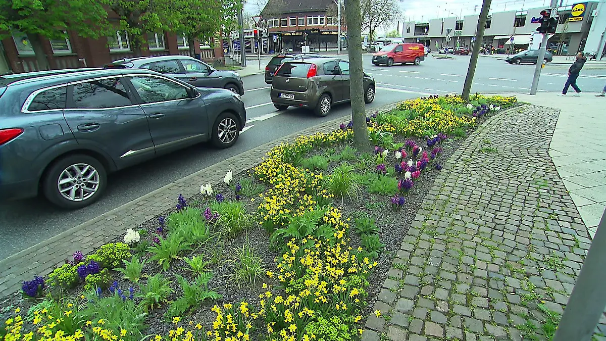 Blumenbeet vor einer Straße