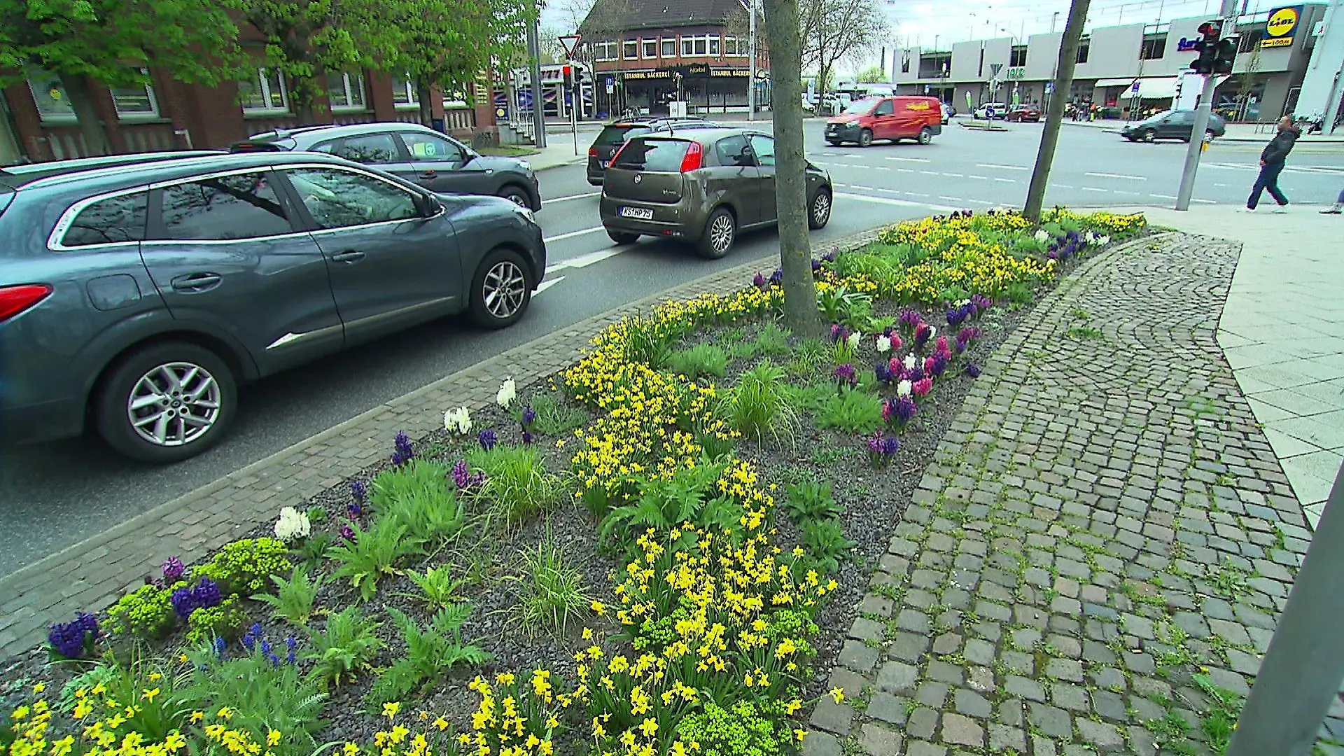 Blumenbeet vor einer Straße