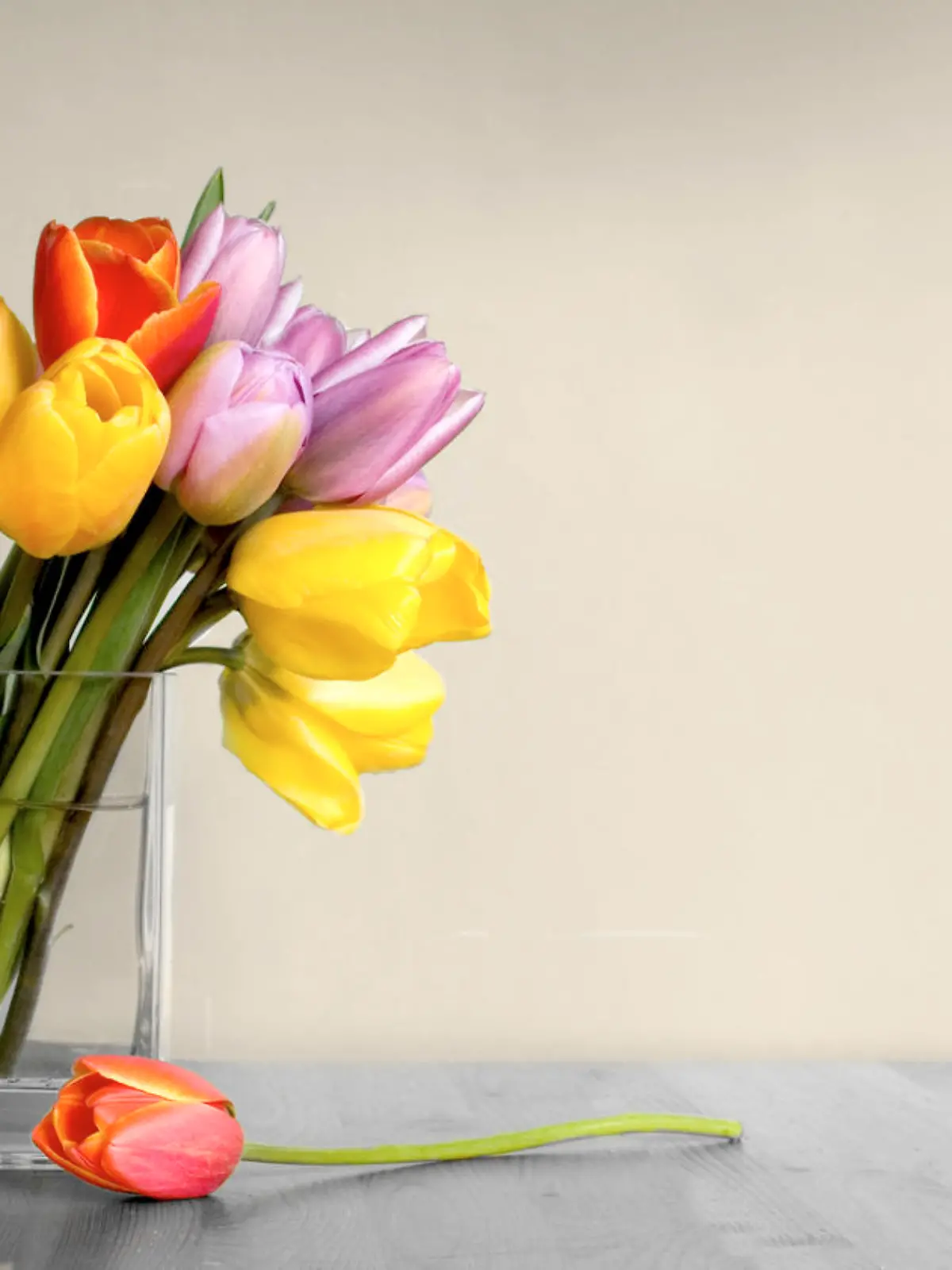 Tulpen in Vase