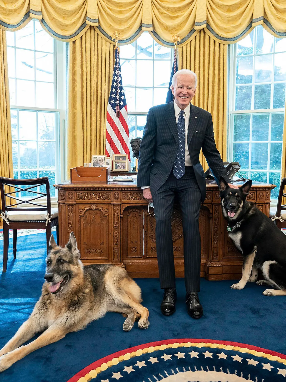 Washington, die Hunde von US-Präsident Biden müssen das Weiße Haus verlassen - Archivbilder STYLELOCATIONU.S President Joe Biden poses with the family dogs, Champ and Major in the Oval Office of the White House February 9, 2021 in Washington, D.C. Washington United States of America - ZUMAp138 20210209_zaa_p138_009 Copyright: xAdamxSchultz/WhitexHousex
