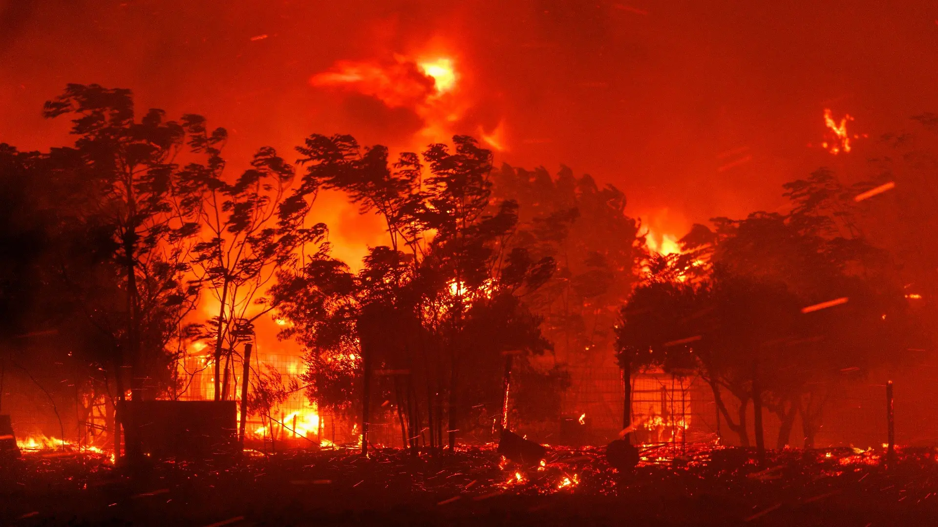 21.08.2023, Griechenland, Avantas: Das Feuer verbrennt ein Haus im Dorf in der Nähe der Stadt Alexandroupolis in der nordöstlichen Region Evros. Stürmische Winde fachen die Flammen der Waldbrände in ganz Griechenland an. Foto: Achilleas Chiras/AP +++ dpa-Bildfunk +++