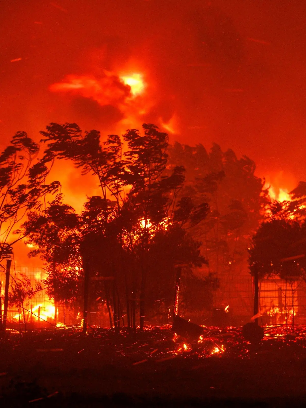 21.08.2023, Griechenland, Avantas: Das Feuer verbrennt ein Haus im Dorf in der Nähe der Stadt Alexandroupolis in der nordöstlichen Region Evros. Stürmische Winde fachen die Flammen der Waldbrände in ganz Griechenland an. Foto: Achilleas Chiras/AP +++ dpa-Bildfunk +++
