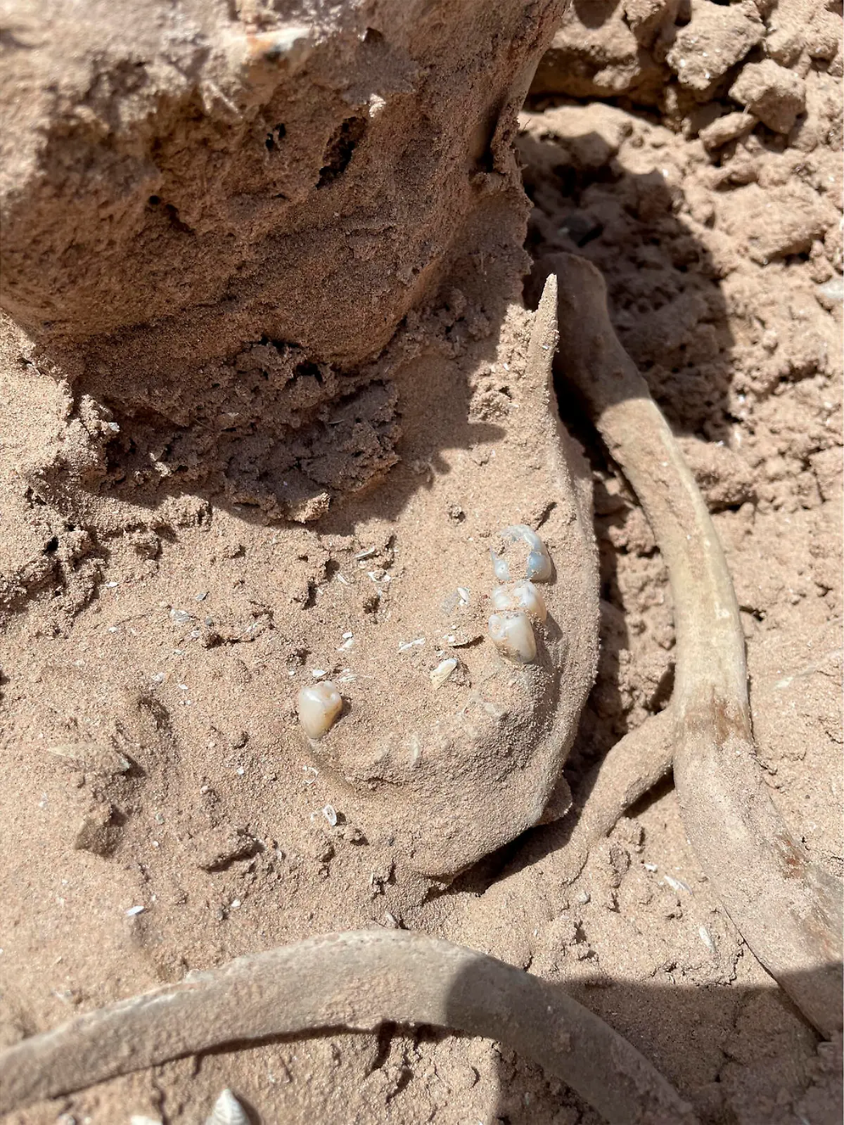 These photos of Saturday, May 7, 2022, provided by Lindsey Melvin of Henderson, Nev., shows human remains she and her sister discovered on a sandbar that recently surfaced as Lake Mead recedes. A closer look revealed a human jaw with teeth. The National Park Service confirmed in a statement that the bones are human. (Lindsey Melvin via AP)