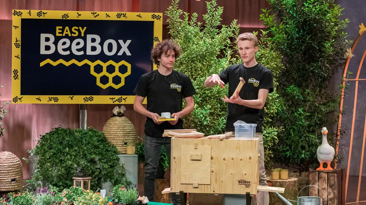 Nick Peters (l.) und Jan-Angelus Meyer aus Bad Fallingbostel präsentieren mit "easyBeeBox" das Bienenvolk für Jeden. Sie erhoffen sich ein Investment von 150.000 Euro für 15 Prozent der Anteile an ihrem Unternehmen. Die Verwendung des sendungsbezogenen Materials ist nur mit dem Hinweis und Verlinkung auf TVNOW gestattet.