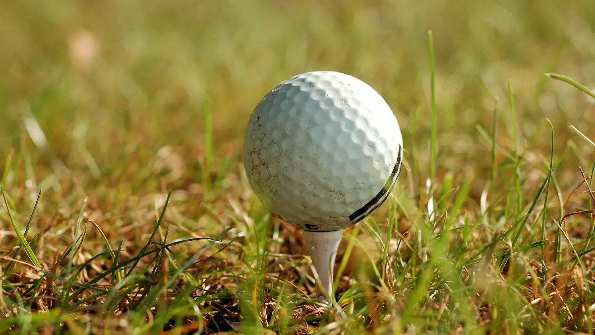 golf ball in grass golf ball in grass LicenseRF 3383836 Copyright: xZoonar.com/IaroslavxDanylchenkox 3383836