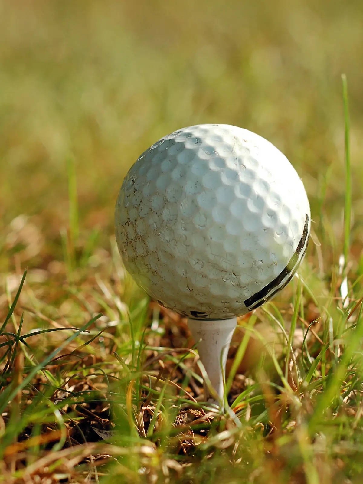 golf ball in grass golf ball in grass LicenseRF 3383836 Copyright: xZoonar.com/IaroslavxDanylchenkox 3383836