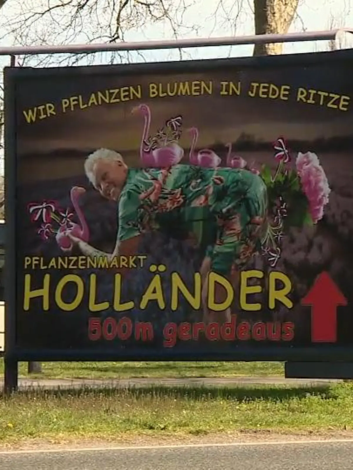 Bild zu: "Ärger um Plakat von Blumenhändler"