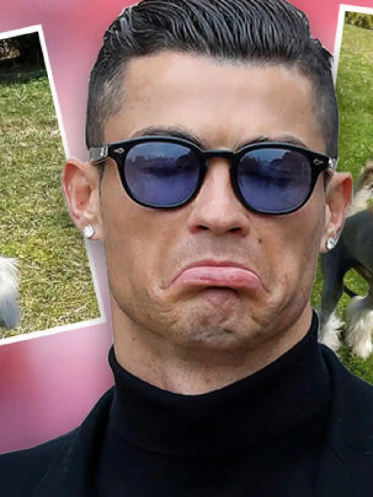 Fans von Cristiano Ronaldo verspotten dessen neuen Hund