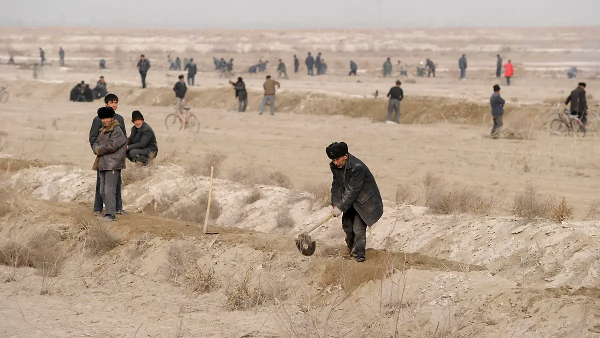 China, Xinjiang, uighur work on cotton plantation CHINA, autonomous province Xinjiang, uyghur worker prepare irrigation canals for a cotton plantation which belongs to a Han-chinese investor *** CHINA, autonome Provinz Xinjiang, ausserhalb Kashgars, uigurische Arbeiter ziehen Bewaesserungsgraeben fuer eine Baumwollplantage am Rand der Taklamakan Wueste, die einem Han-chinesischen Investor gehoert Kashgar Xinjiang China