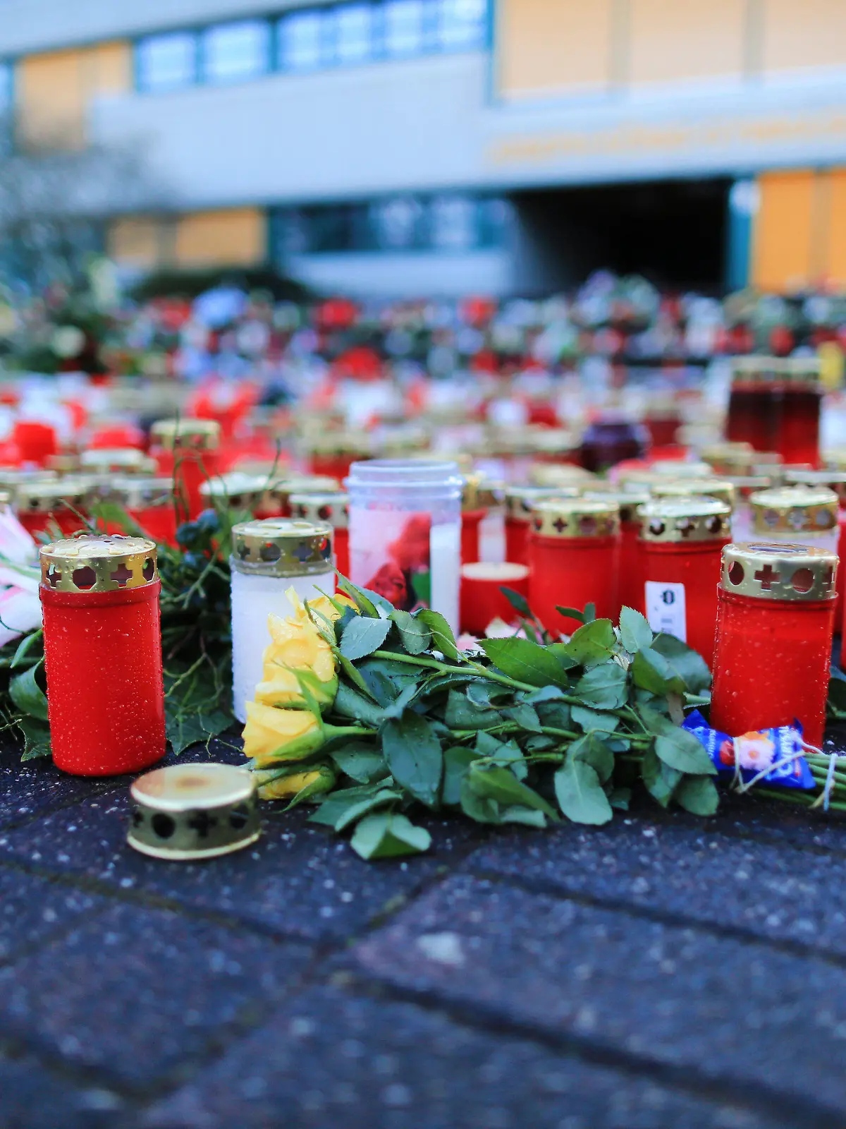 ARCHIV - Zahlreiche Kerzen und Blumen liegen am 31.03.2015 in Haltern am See (Nordrhein-Westfalen) vor dem Joseph-König-Gymnasium. 16 Schüler und zwei Lehrkräfte des Gymnasiums in Haltern befanden sich an Bord der Germanwings-Maschine, die am 24.03.2015 auf dem Weg von Barcelona nach Düsseldorf in den französischen Alpen abgestürzt war. Eine Sondermaschine mit Särgen der Opfer des Germanwings-Absturzes in Frankreich fliegt am Dienstag nach Düsseldorf. In der Maschine aus Marseille sollen zweieinhalb Monate nach dem Absturz 30 Särge nach Deutschland gebracht werden. Am Mittwoch sollen sie den Angehörigen übergeben werden. Foto: Marcel Kusch/dpa +++(c) dpa - Bildfunk+++