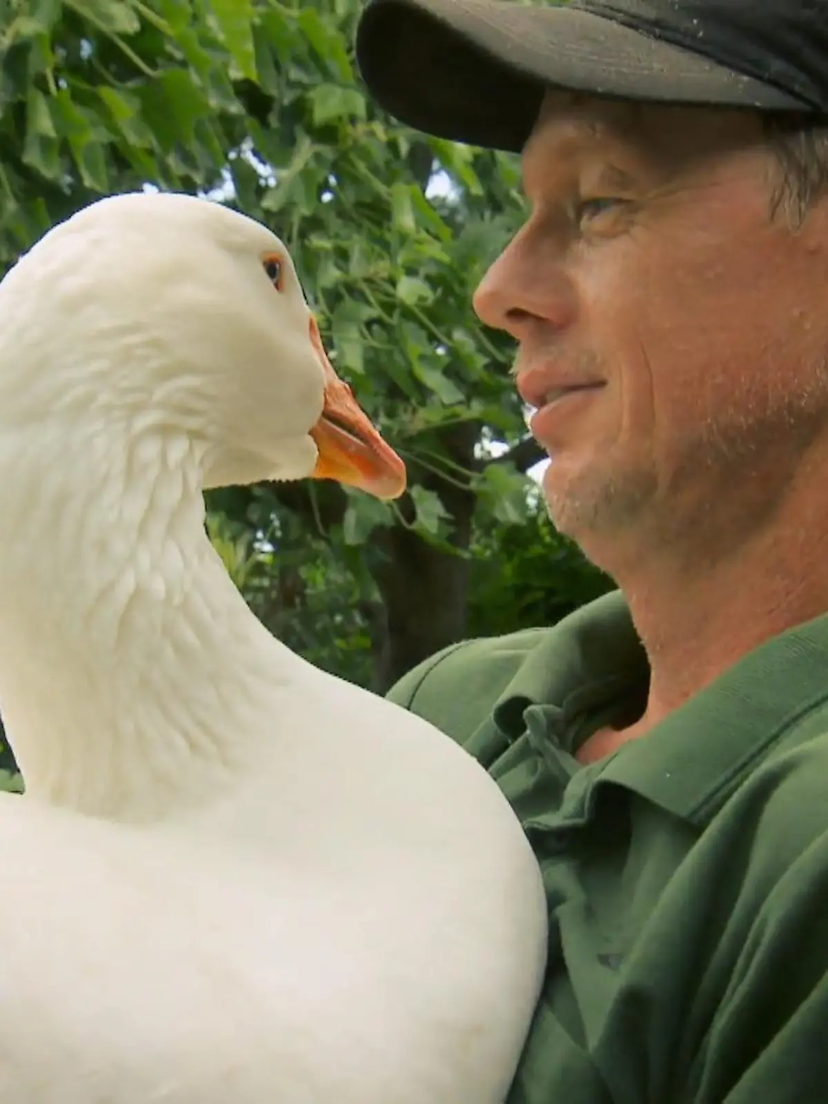 Hobbybauer Heiko liebt seine Gans "Monnypenny"