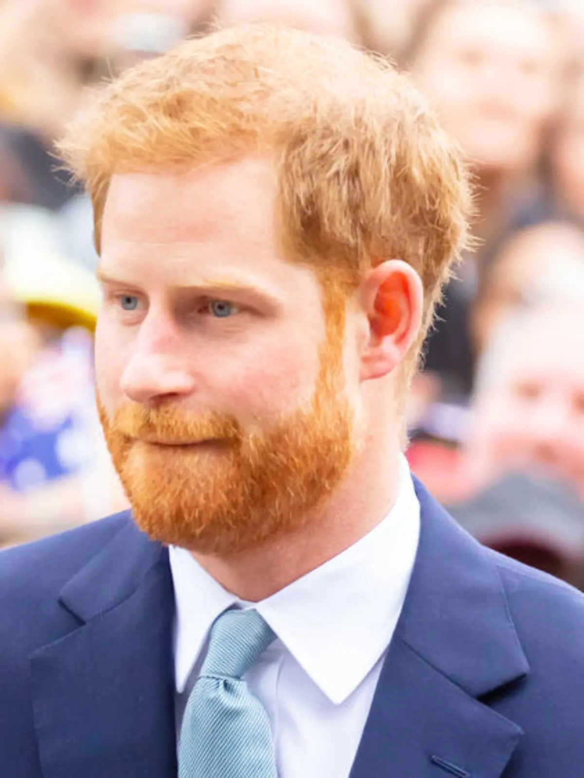 Prinz Harry arbeitet an Studie über Fake News im Netz