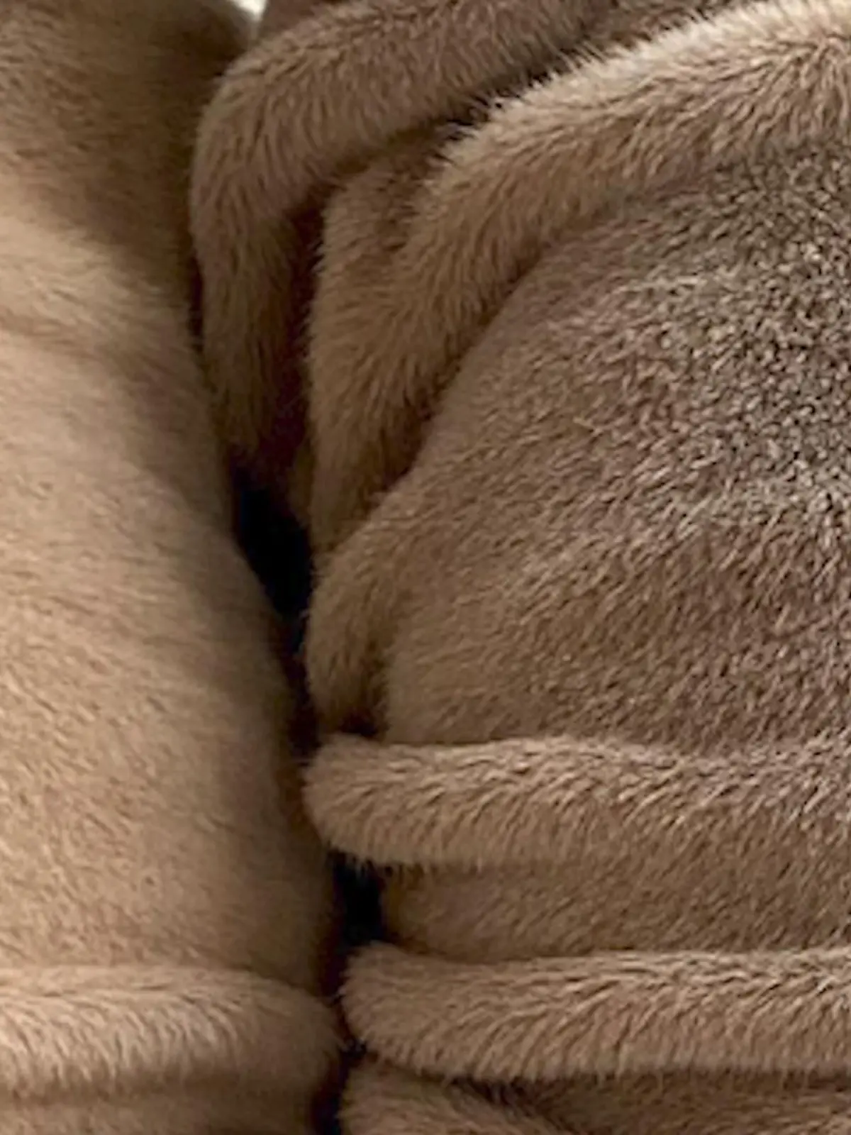 Bild zu: "Was versteckt sich hinter diesem Bild?"