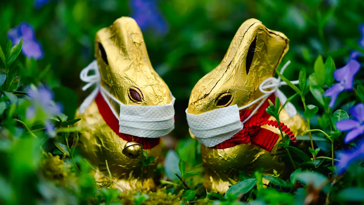 zwei Schoko-Osterhasen mit Mundschutz im kleinen Immergrün Vinca minor, Symbolbild dritte Welle an Ostern während, Corona-Krise, Stuttgart, Baden-Württemberg, Deutschland Osterhase Corona-Krise *** two chocolate easter bunny with mouth guard in small periwinkle Vinca minor , symbol third wave at easter during, corona crisis, Stuttgart, Baden Württemberg, Germany easter bunny corona crisis