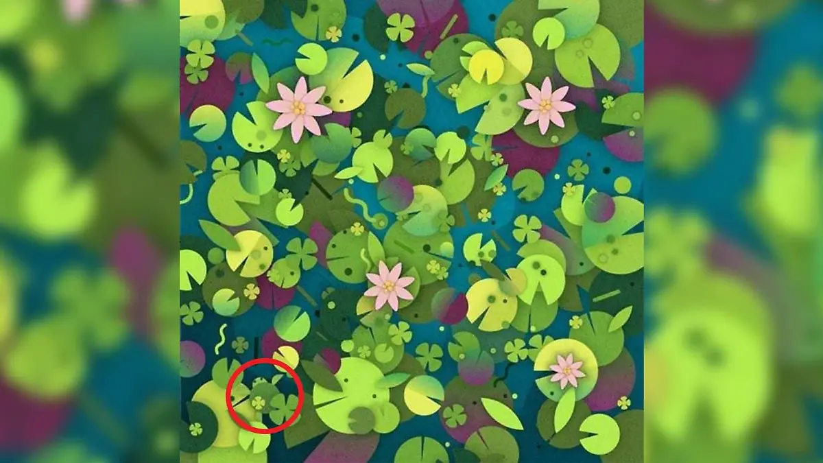 Suchbild Schildkröte Teich Auflösung